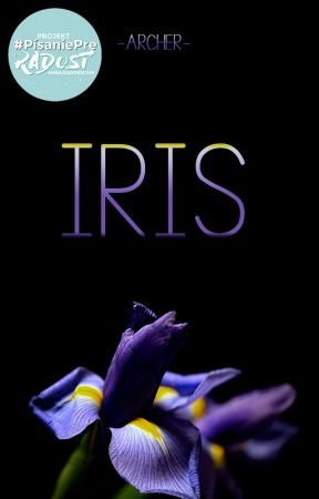 IRIS by -Archer-