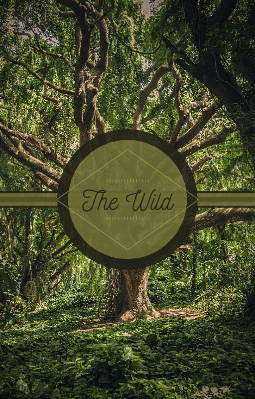 | The Wild | by TuSais