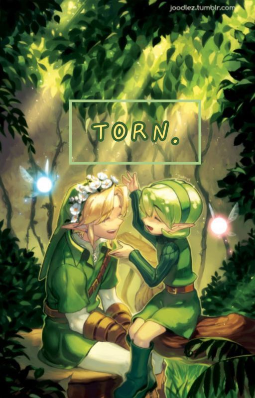 Torn~~SaLink/ZeLink (LoZ Ocarina of Time) by pk-nessquik