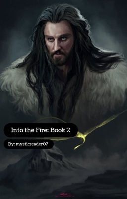 Into the Fire: Book 2 cover