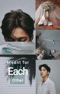 Meant for Each Other | ExoKai Fanfic cover