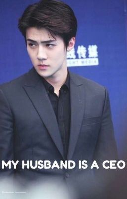 MY HUSBAND IS A CEO (SUDAH TERBIT)  cover