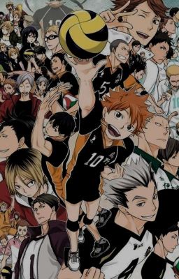 Haikyuu: Compilation cover