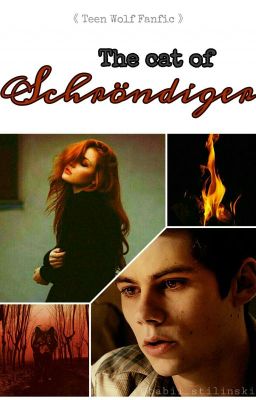 The Cat of Schröndiger《 Teen Wolf Fanfic 》 cover