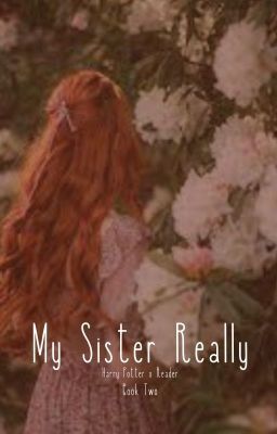 My Sister Really [Harry Potter x Reader] Book II cover