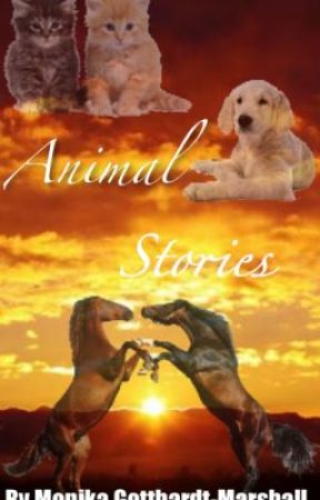 Stories From The Animals P.O.V by Gottheart