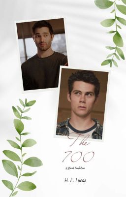 The 700 // Sterek  cover