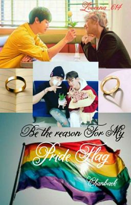 Be The Reason For My Pride Flag {Chanbaek} cover