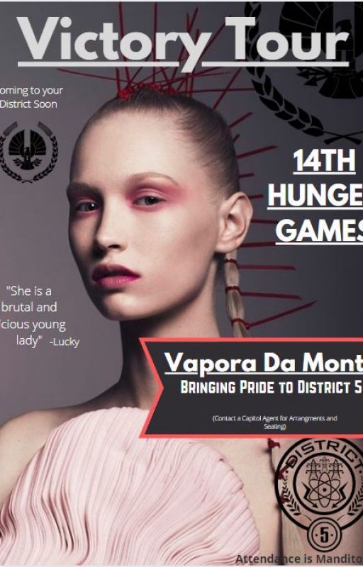 The 14th Hunger games by robanero