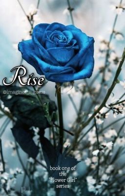 Rise (Percy Jackson x Reader) cover