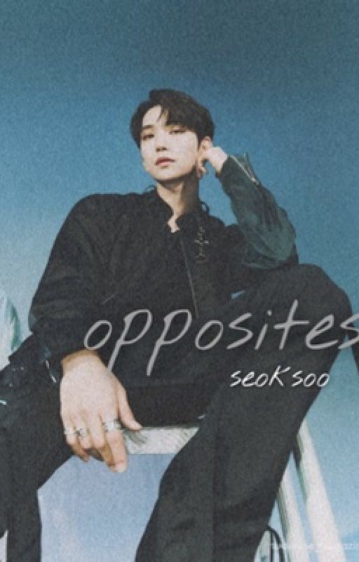 Opposites || Seoksoo by 17svtxt