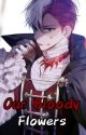 Our Bloody Flowers. (Shoto Todoroki x Reader) by The_Queen_Boo