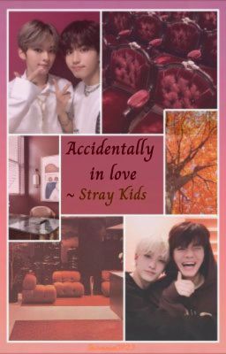 Accidentally in love ~ Stray Kids cover