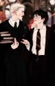 Drarry a siren story  by Gryffinpuffgirl_2310