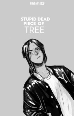 stupid dead piece of tree | eren x levi cover