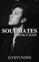 soulmates | bang chan by ilyhyunjins