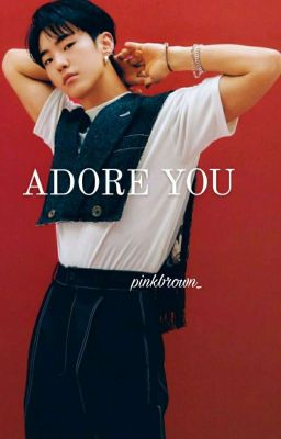 Adore You || hoshi ff  cover