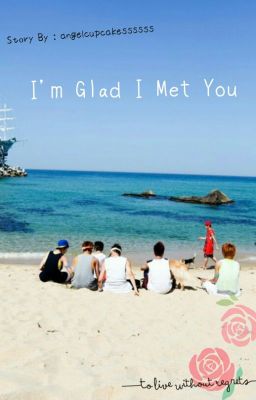 I'm Glad I Met You cover