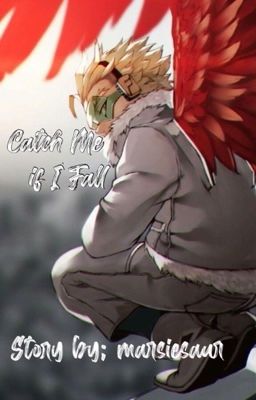 Catch Me if I Fall - Hawks x Fem Reader [CANCELLED] cover