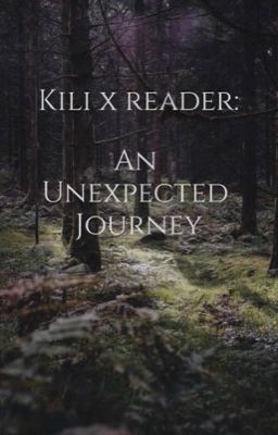 Kili x reader The Hobbit: An Unexpected Journey (Completed) cover