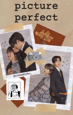 picture perfect || minsung ✔️ cover