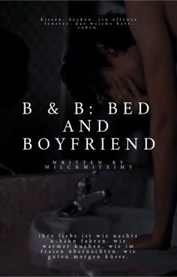 B&B: BED AND BOYFRIEND | TADDL FF ✓ cover