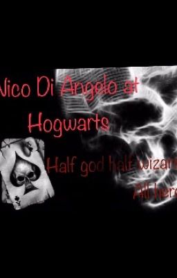 Nico Di Angelo goes to Hogwarts :)  cover