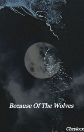 Because Of The Wolves *Teen Wolf* by Leeannie1978