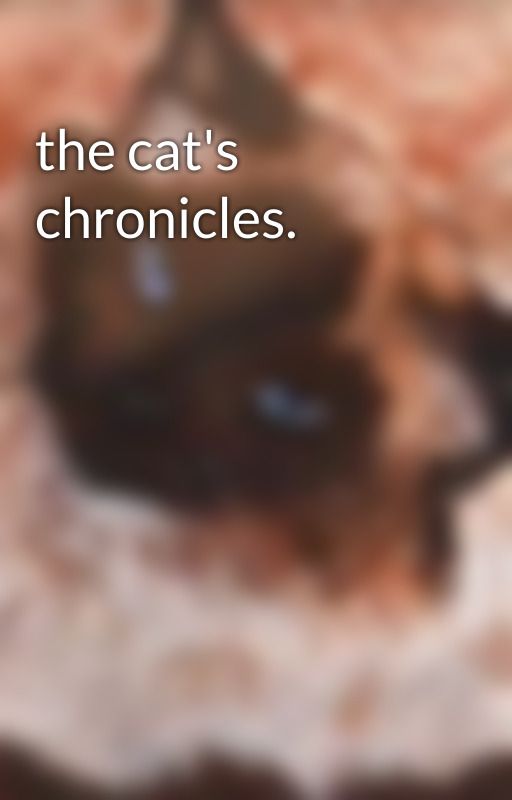 the cat's chronicles. by kitdeecat