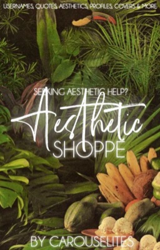 Aesthetic Shoppe by carouselites