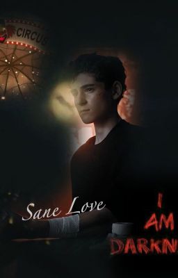 Sane Love (Bruce Wayne x Reader) *Completed* cover