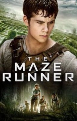 The Maze Runner (Thomas x Reader) cover