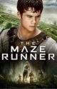 The Maze Runner (Thomas x Reader) by Avengers1981