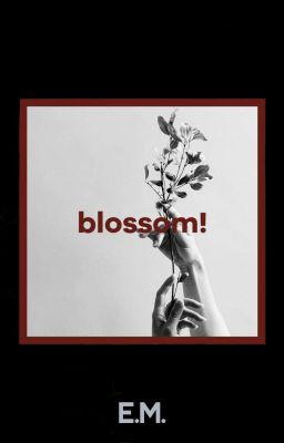 blossom! cover