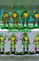 Teenage Mutant Ninja Turtles: New Turtles in America by MeadowSchmitz