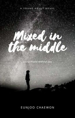 Mixed in the Middle cover