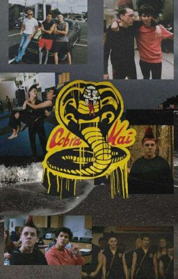 ▪︎ Cobra Kai Imagines ▪︎ cover