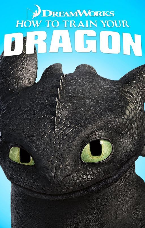 the skrill dragon rider: how to train your dragon by AngelwolfWings7