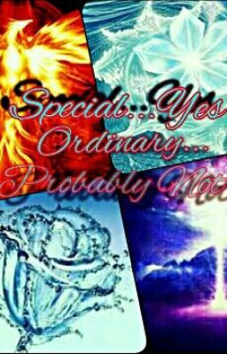 Special...yes; Ordinary...Probably Not cover