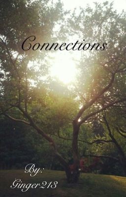 Connections [2] cover