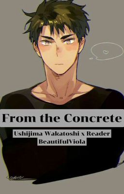 From the Concrete (Ushijima Wakatoshi x Reader) cover