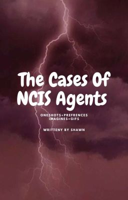 The Cases Of NCIS Agents cover