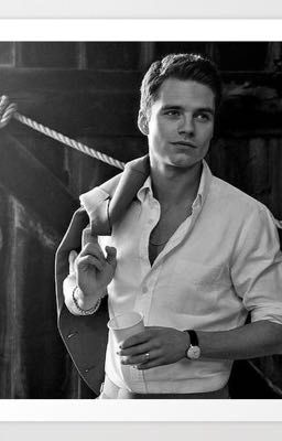 50 shades of sebastian stan cover