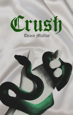 Crush • Draco Malfoy x Reader • book 1 cover