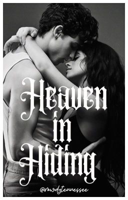 Heaven In Hiding cover