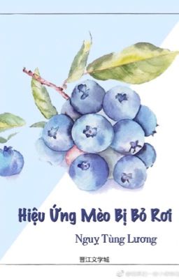 Hiệu Ứng Mèo Bị Bỏ Rơi cover