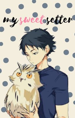 My Sweet Setter (Akaashi x Reader) cover