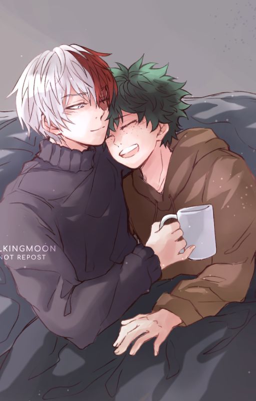 A Broken Promise (Tododeku) (Vigilante Deku) (Dadzawa) by Boredinquarentine67