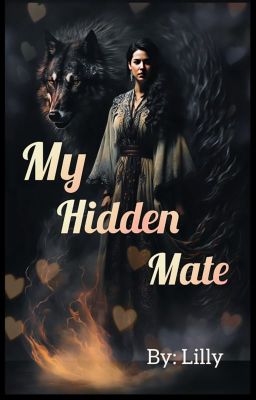 My hidden mate cover