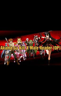 Akame Ga Kill X Male Reader (Completed, but I'm editing the first few parts) cover